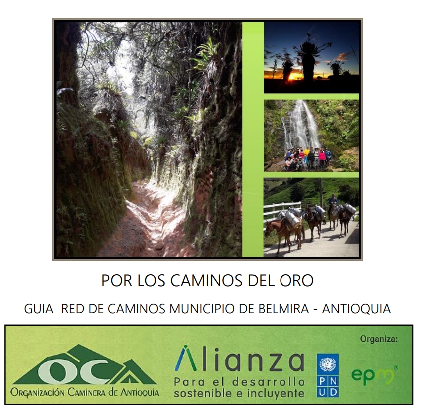 Logo publicacion Belmira