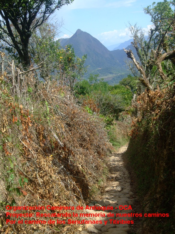 2009_0831copiacamara4934